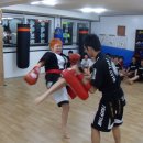 무진체육관 이미지