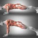 몸튼튼 근력 스트레칭 이미지