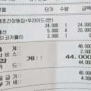 가자야식 | 부산여행 중 야식으로 최고였던 고향통닭 하단점에서 소주 네병각ㅋㅋ 내돈내산 맛집 인생치킨 후기