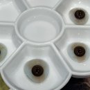 오렌즈 광주첨단점 이미지