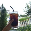 캐트시 | 강릉중앙시장 카페캐트시-월화거리 뷰맛집 카페 추천