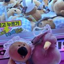 짱오락실 대전둔산점 | 대전 인형뽑기방 2탄 | 잘 뽑히는 곳 탑처럼 쌓여있는 오락실 추천