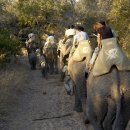 에코리조트 이미지