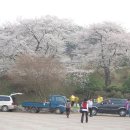 결성초등학교 이미지