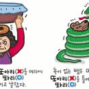 [117] &#39;똬리&#39;와 &#39;또아리’ 이미지