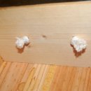 토이박스 이미지