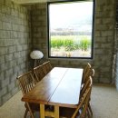 블루25 진성 이미지