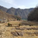 춘천정도공인중개사사무소 이미지