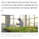 붙이고 채소로 키우고…코로나19 막을 ‘신기술 백신’ 기대감 커지네 이미지