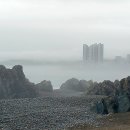 친환경 목화 솜 패드, 이불(부산진시장반송이불) 이미지