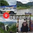 역전의 댕댕이 펫택시 | 강원도 여행지 추천 영월관광택시 예약 뚜벅이 영월여행 후기