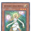 로드라이트 Daum카페