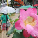 빙빙닷컴 이미지