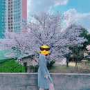 계명대학교 대명캠퍼스 이미지