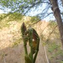 향기나는펜션민박 이미지