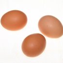 화정식품 이미지