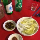 은행나무 포장마차 이미지