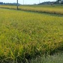 공인중개사사무소 진흥부동산 이미지