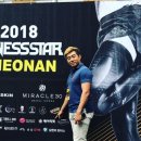 베어리핏 이미지