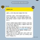 셀린느 틴 룰루백 내돈내산 공홈 구매 후기 / 이너백 사용