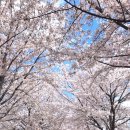 차고치는마을 이미지