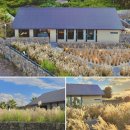 와타스테이 이미지