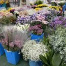 인지공판장 이미지