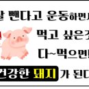 포레스트 다이어트 이미지