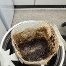 모래내행복마을 | [상품/강릉커피/티백커피] 강릉모래내드립백