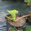 반디별 펜션 이미지