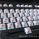 데브텐 | MT3 프로파일 염료승화 데브띠 키캡 리뷰(DROP + MATT3O MT3 /DEV/TTY KEYCAP SET)