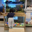 쁘띠몽드당진점 | [당진 키즈카페] 2살아기와 쁘띠몽드 방문 후기