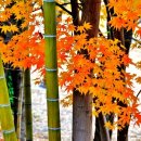 신나는 통기타 이미지