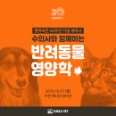 센트럴 동물메디컬센터 이미지