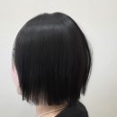 스튜디오 디 | 해운대 센텀 미용실 디바인즈 헤어스튜디오 단발 태슬펌 솔직 후기!