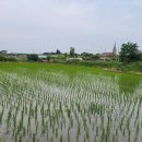 길음리 쉼터 이미지