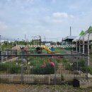 해와달농장 이미지