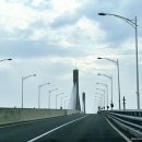 신안프라자 이미지