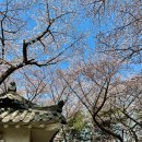 수봉양궁장 이미지