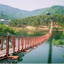 참숯통큰오리 네이버블로그