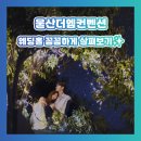 엠컨벤션 - 진주시 나불로 284 | 울산더엠컨벤션 웨딩홀 투어 후기!! 실내홀부터 루프탑 가든까지 둘러보고 왔어요✨