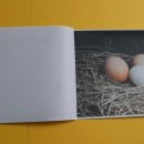 아빠와 그림책 놀이 이미지