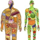 바디건강 이미지