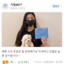 큐티댕냥 하남 본점 강아지 고양이 분양 이미지