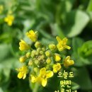 엄지공주 - 강릉시 경강로 2113 | 엄지공주