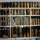 전원농장 이미지