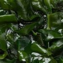 미역의 효능 부작용 영양성분 미역국의 효능 칼로리 이미지