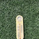 포항야구장 경기장 이미지