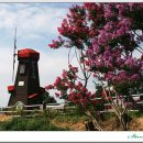 대동하늘공원 이미지