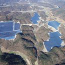 소나무 태양광발전소 이미지